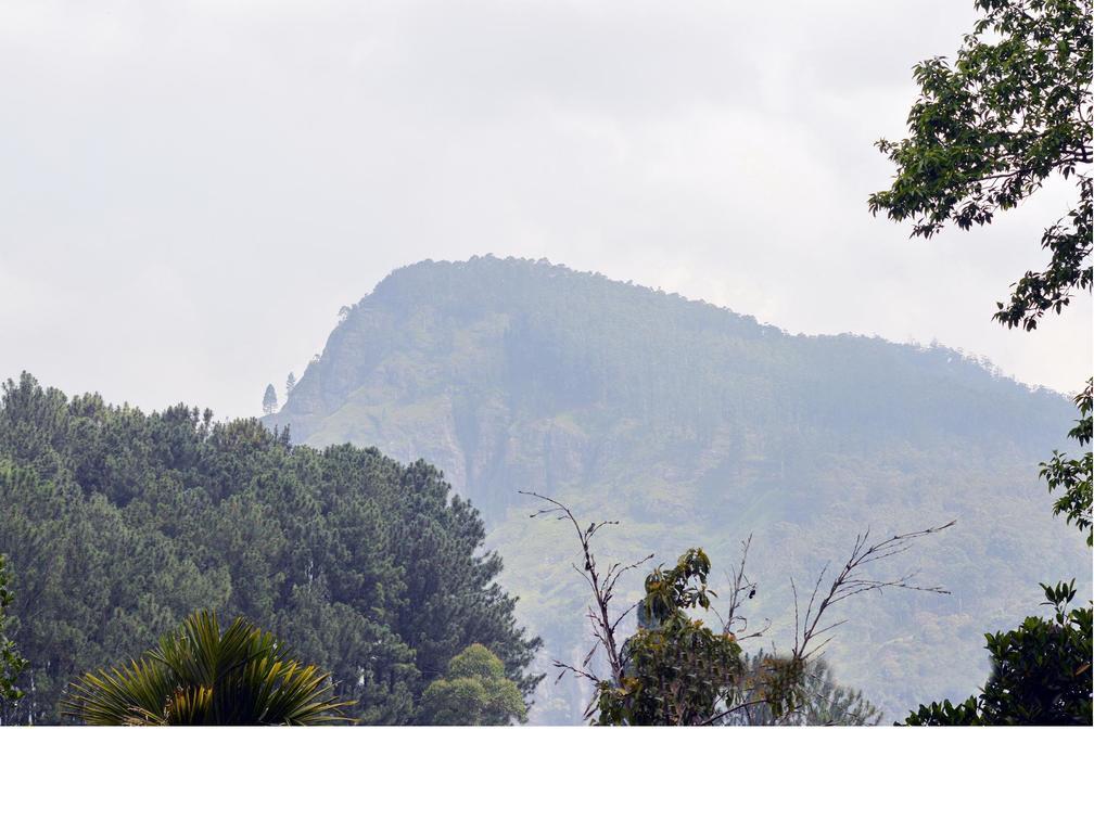 Rowinrich Cottages Ella Esterno foto