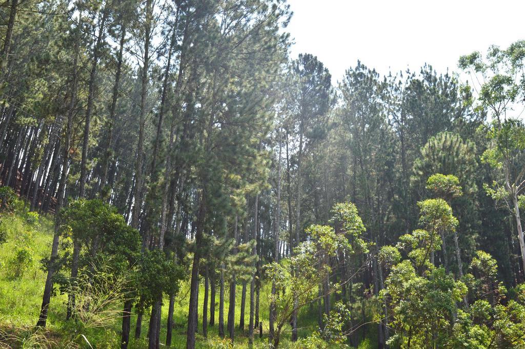 Rowinrich Cottages Ella Esterno foto