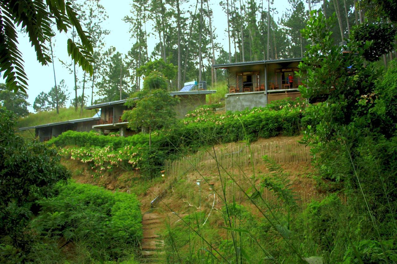 Rowinrich Cottages Ella Esterno foto